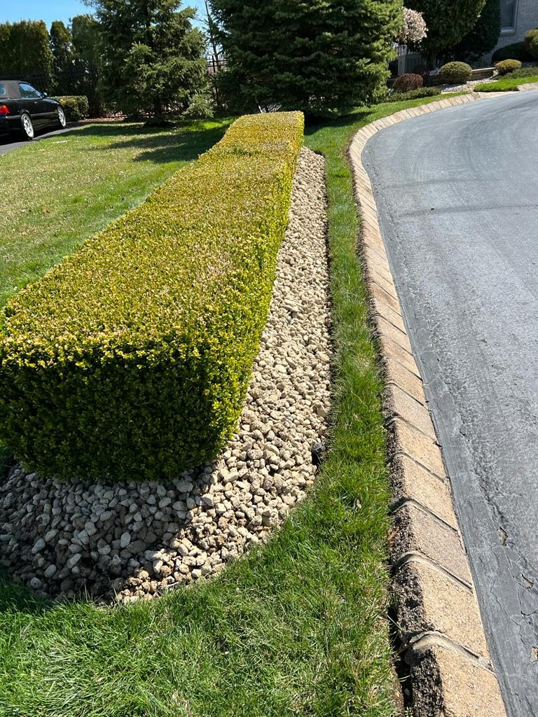 Completed lawn care & maintenance project