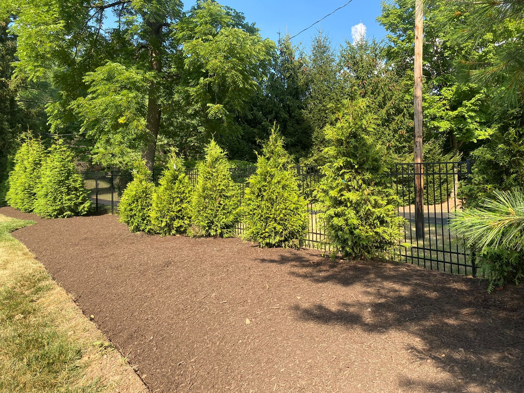 Completed landscape design project